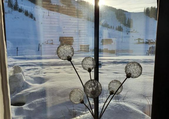 Hinterstoder Apartamento | Höss-Alpin-Lodge