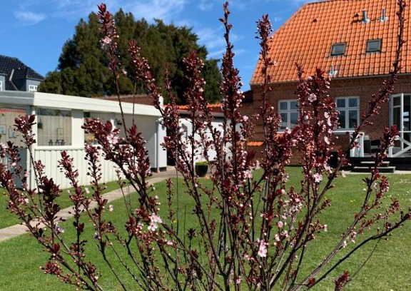 Naesby Apartamento | H. C. Lumbyes Vej - kælderlejlighed