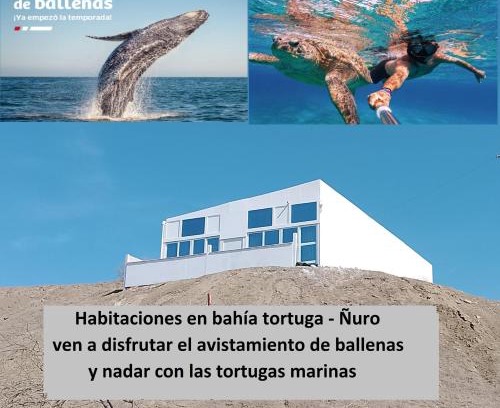 Los Órganos Casa | Habitaciones Bahia de las Tortugas Ñuro
