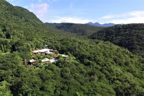 Mahaut Casa | Habitation Colas
