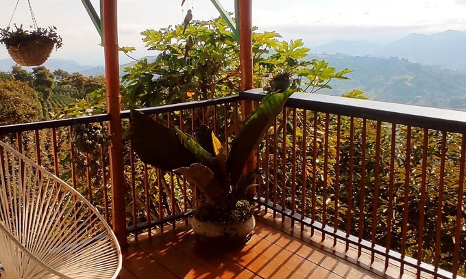 La Estrella Otro | Hacienda Boutique Santa Rosanna