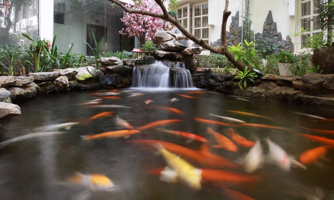 Dong Da Hotel | Hacinco Hotel