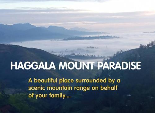 Welimada Apartamento | Hakgala Mount Paradise