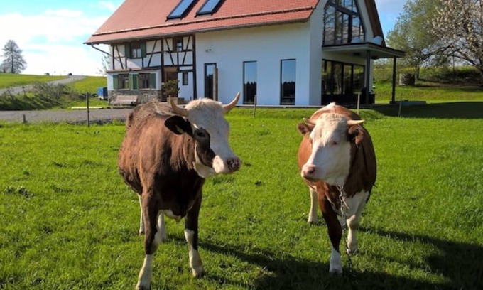 Arnach Apartamento | Half-timbered house in the Allgäu with mountain views in a secluded location, gr. Garden & Sauna, Lake Constance