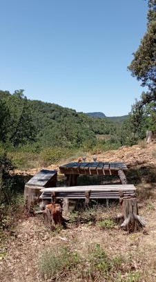 Auriac Otro | Hamacs Carbounieros
