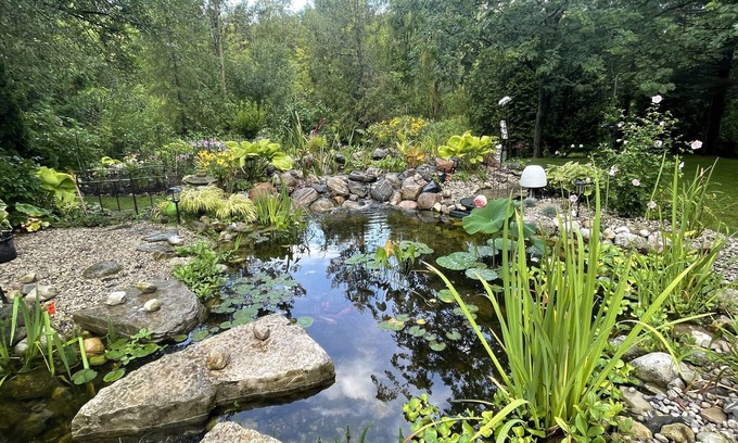 Waterloo Casa | Hammer Haus-Tranquil and Quiet-St. Jacob's Market