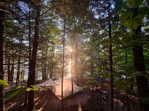 Monmouth Casa | Hammock Haven Island Dome