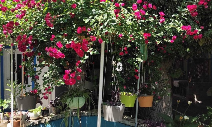 Akcay Casa | HANCI PANSİYON