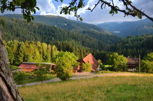Schiltach Apartamento | Hansjörgenhof Bioland-Hof