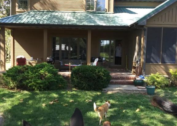 Fort Scott Casa | Happy Ass Farm