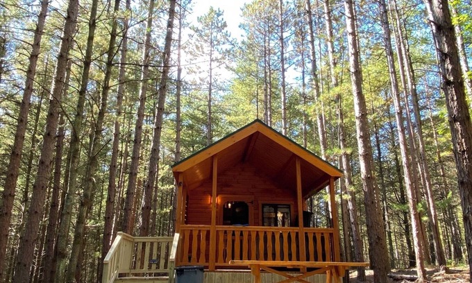 Leeper Cabina | Happy Bear Log Cabin near Cook Forest State Park
