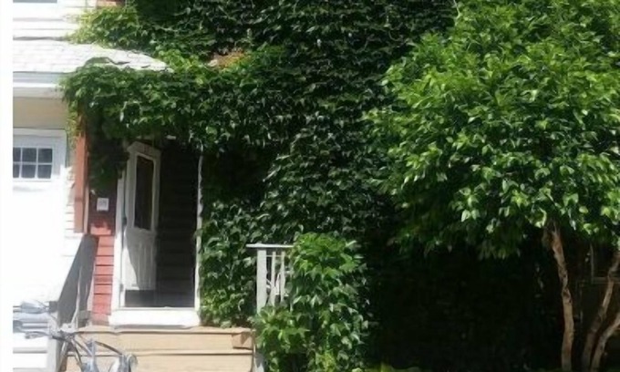 Allston Apartamento | Happy Green House ,Boston Landing, BU, BC, Harvard and MIT