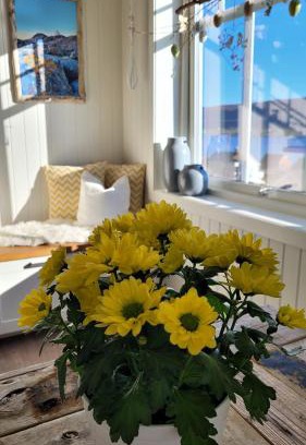 Haram Apartamento | Haramsøy Holiday Apartment- Island Life North