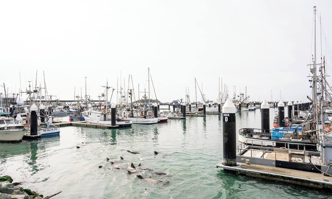 Crescent City Apartamento | Harbor View Bliss Apartment 2