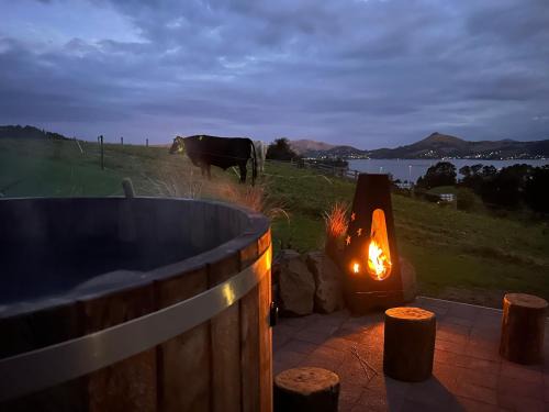 Dunedin Apartamento | Harbour Hideaway