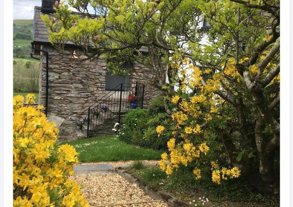 Llandrillo Cama Y Desayuno | Hares Hideaway at Coed Moelfa