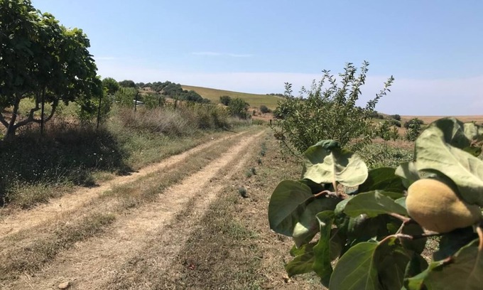 Gallipoli Casa | harika bir hafta sonu... güzel bir tatil