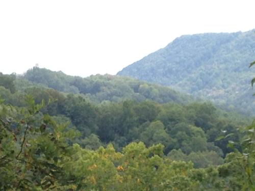 Maggie Valley Casa | Harley Haven
