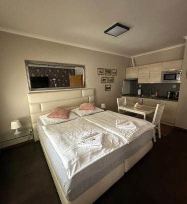 Harrachov Apartamento | Harrachov Resident Apartments "Terrace & Chill" - high speed WiFi, možnost snídaně, Smart TV, Netflix, Disney plus