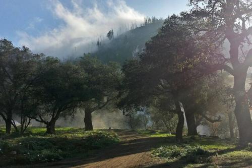 Pauma Valley Otro | Harrison Serenity Ranch Bunk House