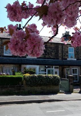 Harrogate Casa | Harrogate 100