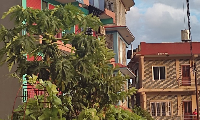 Pokhara Casa | Harry Guest House & Restaurant