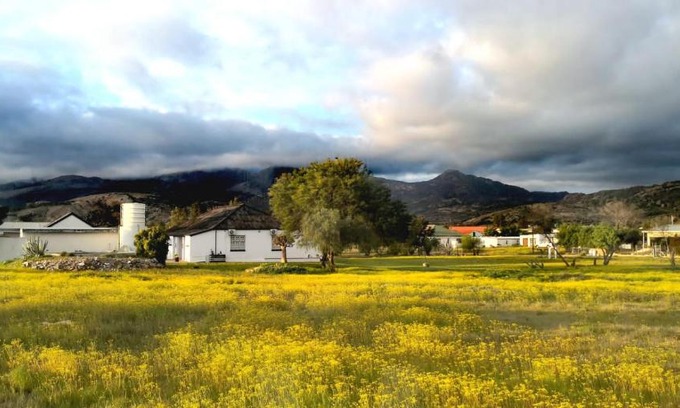 Kamieskroon Casa | Harry's Place Guesthouse