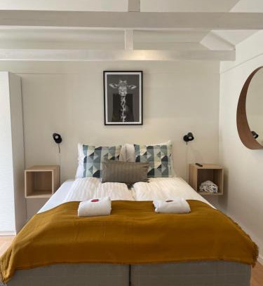 Vester Skerninge Casa | Hartel House