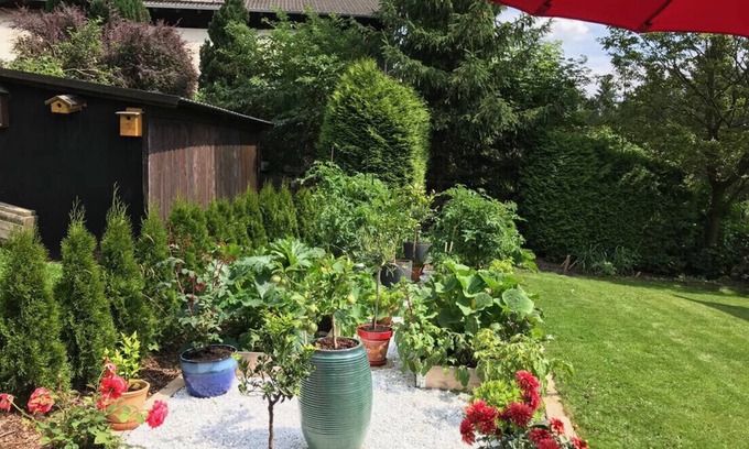 Schulenberg im Oberharz Apartamento | Harz and Home - Holiday apartment with WLAN.