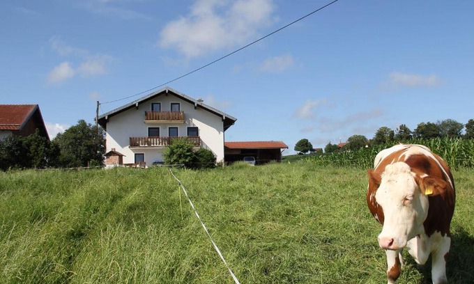 Waging am See Apartamento | Haslacher Hof