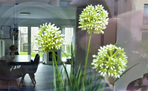 Dangast Casa | Haus AnnaDüne, Am Alten Deich 15b