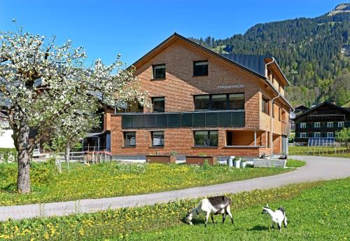 Schoppernau Casa | Haus Bianca