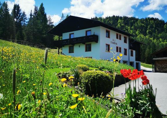 Steinberg am Rofan Apartamento | Haus Gamssprung
