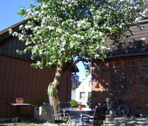 Meldorf Apartamento | Haus Gezeiten
