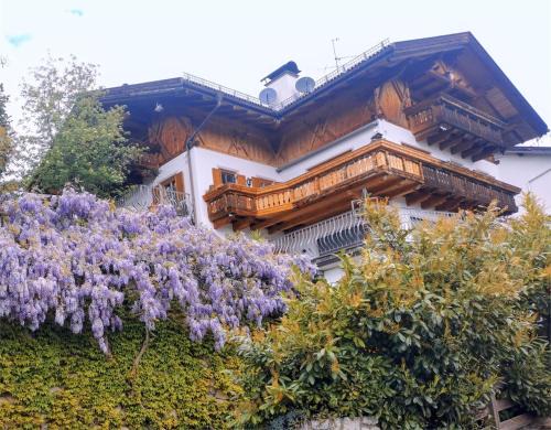 Albions Apartamento | Haus Gläserer apartments