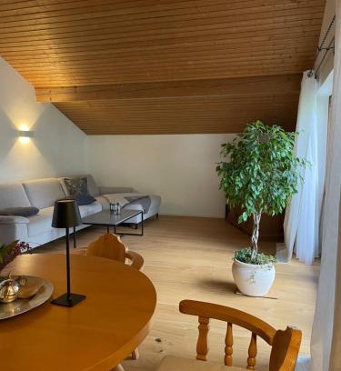 Sonnen Apartamento | Haus Hochland - Großzügige Alpenwohnung im Dachgeschoss