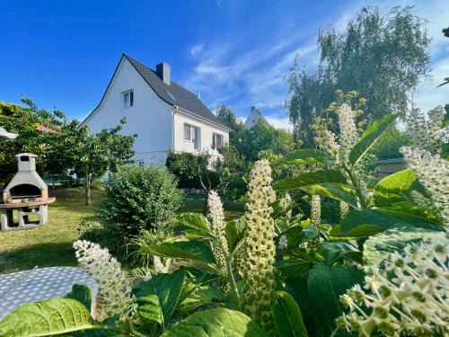 Thiessow Apartamento | Haus Meerglück Lachmöwe