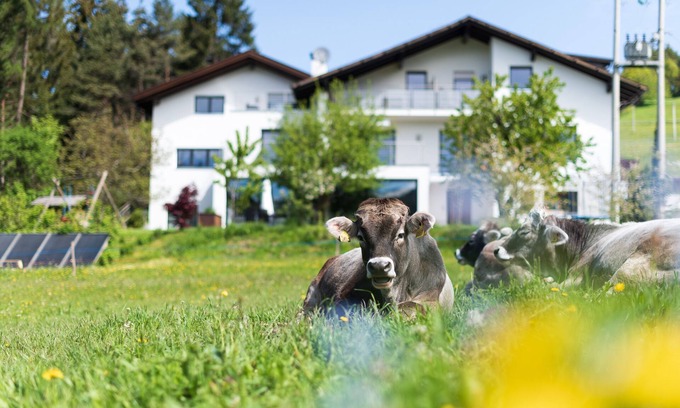 Nova Ponente Apartamento | House Oberzöhr App 2