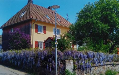 Goerwihl Apartamento | Haus Oskar