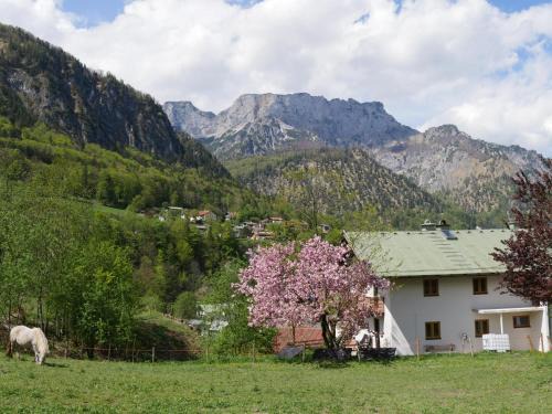 Marktschellenberg Apartamento | Haus Schiller