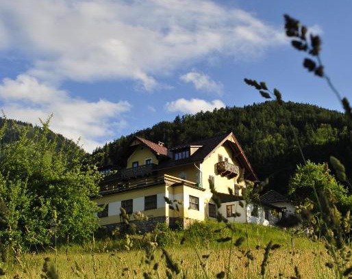 Lunz am See Apartamento | Haus Seebach