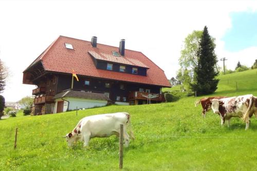 Schonach im Schwarzwald Apartamento | Haus Winterberg