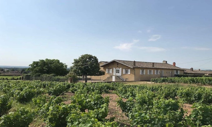 Charentay Casa | Haut casa de roble en el corazón del viñedo de Beaujolais