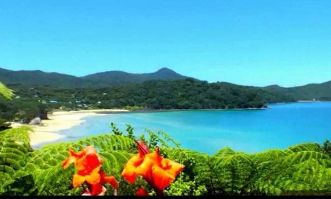 Tryphena Cabaña | Casa de campo hawaiki - isla de fantasía