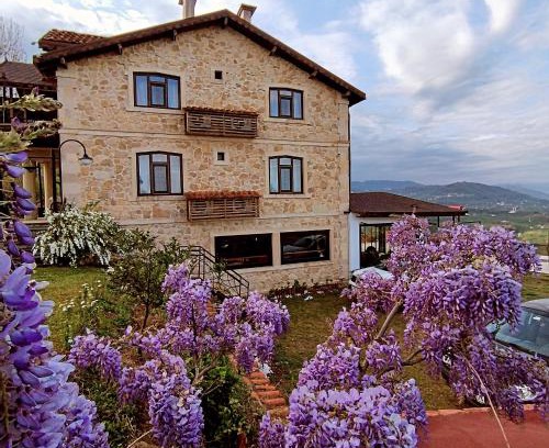 Fatsa Cama Y Desayuno | Hayat Oksijen Resort