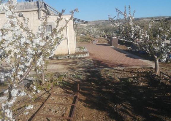 Majdal al-Shams Apartamento | הבית בשדה הדובדבן cherry house