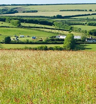 Twitchen Otro | Headgate Farm Camp Site - Pitches Only