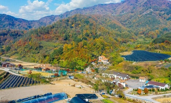 Muju Casa | Healing Resort Maple Village hue