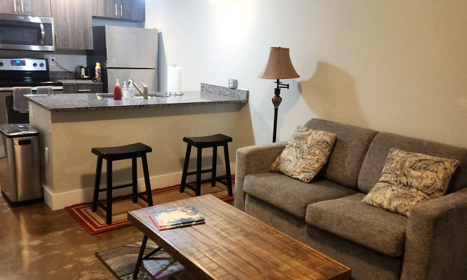 Monroe Ward Condominio | A01 - Heart of the Arts - King Suite West Broad Condo's next VCU MCV Quirk Hote