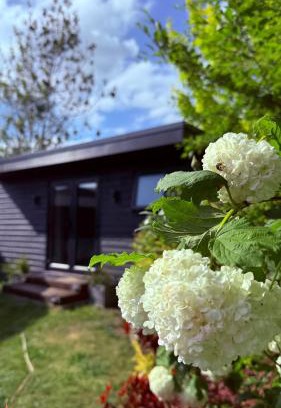 Andover Cama Y Desayuno | Heath Vale Stay
